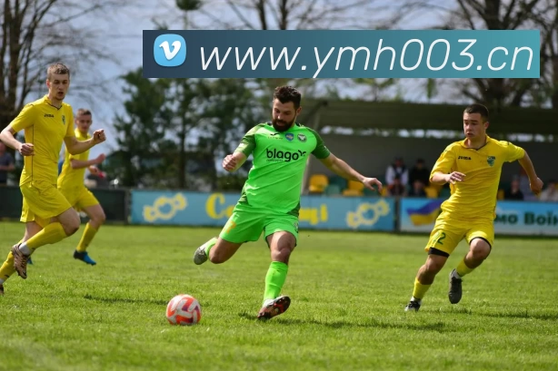 多媒体互动体验